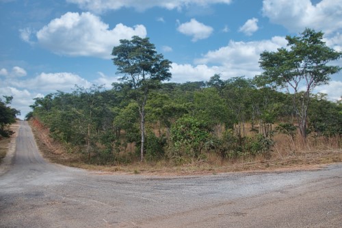 Carrick Creagh Stands