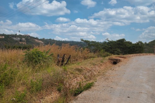 Carrick Creagh Stands