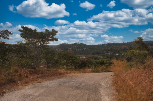 Carrick Creagh Stands
